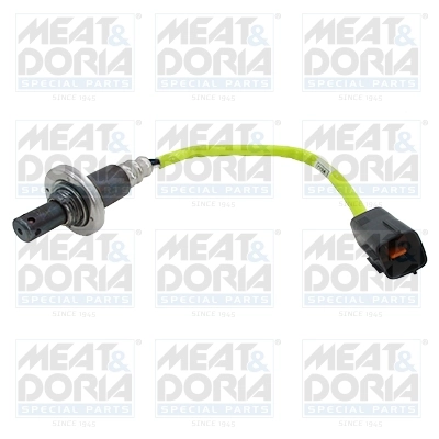 Oxygen Sensor
